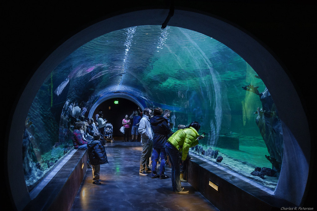 aquarium